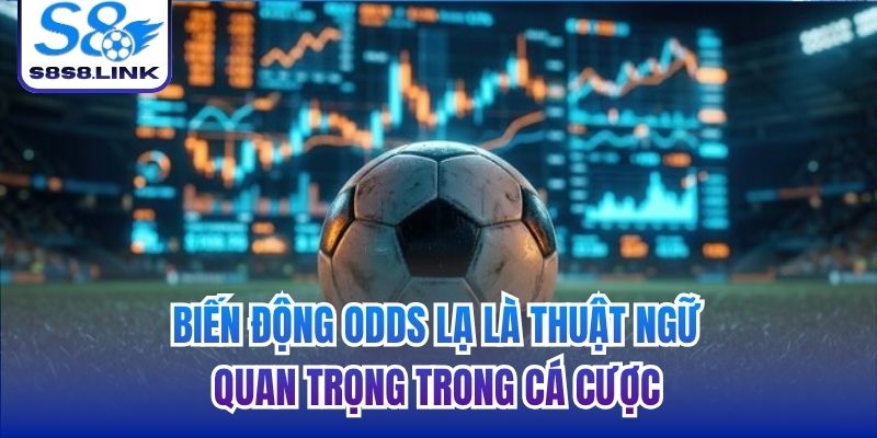Biến động odds lạ là thuật ngữ quan trọng trong cá cược
