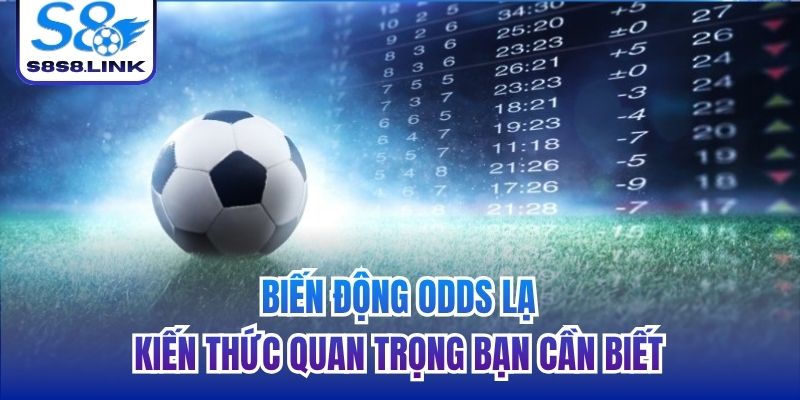 biến động odds lạ