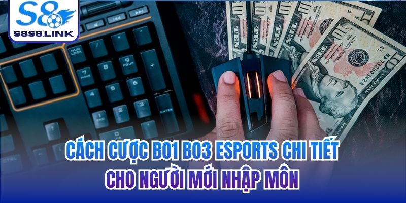 cược bo1 bo3 esport
