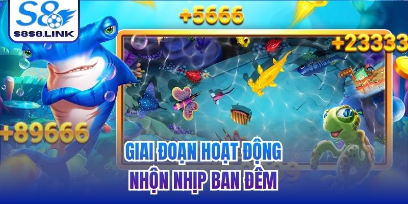 Giai đoạn hoạt động nhộn nhịp ban đêm