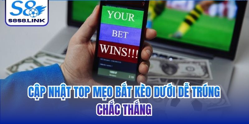 mẹo bắt kèo dưới dễ trúng