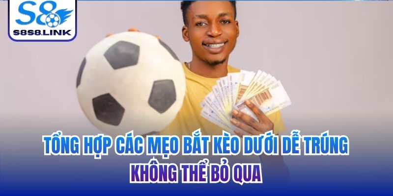 Tổng hợp các mẹo bắt kèo dưới dễ trúng không thể bỏ qua
